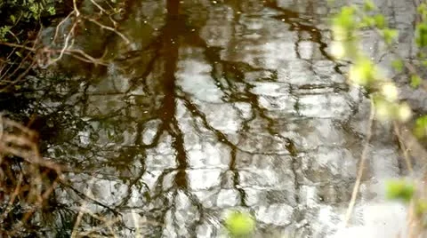 Water Lake Video stock 10907411