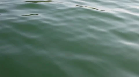 Water of a lake Stock Footage 11138840