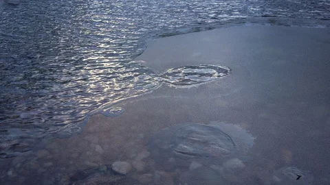 Water in lake is half covered with thin layer of ice in winter Video stock 121363427