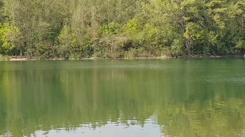 Water on the Lake Movement Video stock 316844822
