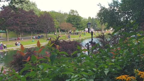 Water Lake View on a Beautiful Parc,with Kids Sitting and Playing Stock Footage 280950307