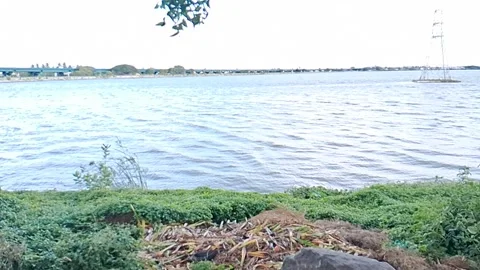Water lake view  Stock Footage 317597787