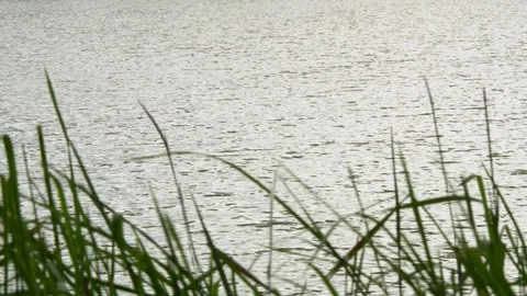 Water lake wind select focus Stock Footage 113899271