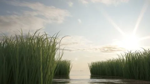 Water landscape Illustrazione stock