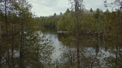 Water landscape river forest nature panorama East Angus Quebec Canada Stock Footage 185234553