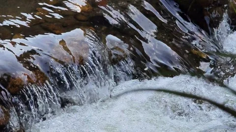 Water landscape. A small waterfall in the river. Stock Footage 305366371