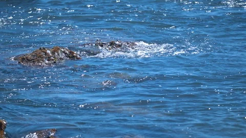 Water Lapping Against a Rock Stock Footage 91047550