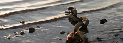 Water lapping on chains Stock Footage 340591756