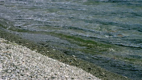 Water lapping at lake edge in New Zealand Stock Footage 159746232