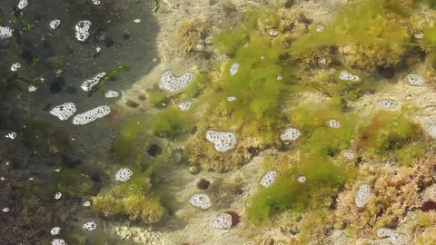 Water lapping over rock pool Stock Footage 73275190