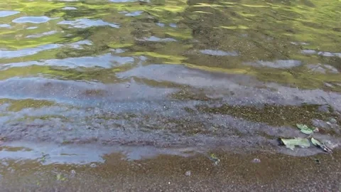 Water Lapping on River Beach- Dolly Shot Vídeo Stock 73234972