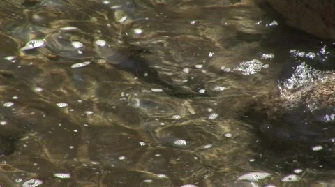 Water lapping rocks Stock Footage 476705