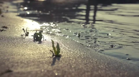 Water Lapping Shore Stock Footage 47210641