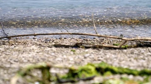 Water lapping on the shore, peacefully tranquillity concept Stock-Footage 76485570