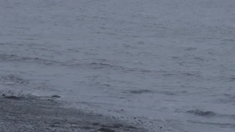 Water lapping on shore tilt up Stock Footage 147796748