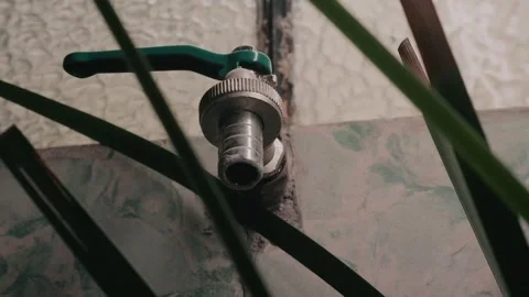 Water leak from a faucet Stock Footage 339843236
