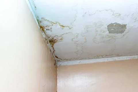 Water leak on white ceiling, insurance accident because of neglect disorderly Stock Photos
