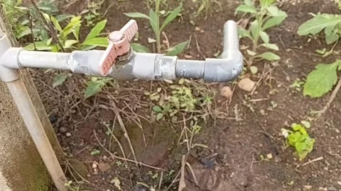 Water Leaking From A Faucet Dripping Constantly 動画素材 335084818