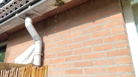 Water is leaking through a leaking gutter with a drain pipe Stock Footage 213602501
