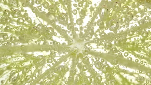 Water with Lemon Slices and exploding soda, air bubbles. Refreshing soft drink Stock Footage 196982206