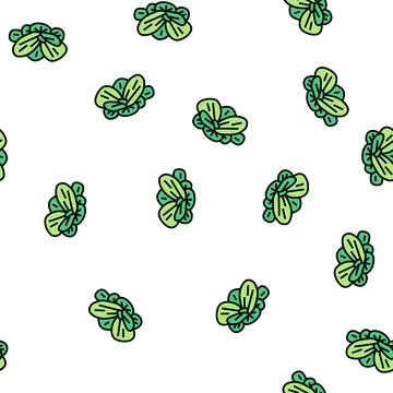 Water lettuce vector seamless pattern 스톡 일러스트