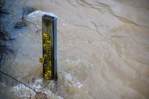 A water level can be read from a water level gauge placed in the river. Stock Photos