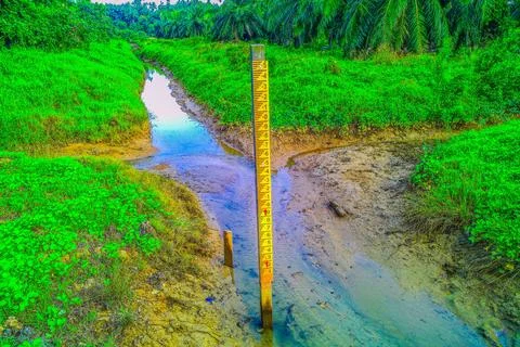 A water level gauge pole installed vertically in a ditch 库存照片