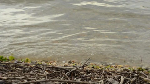 Water level with shore and small waves 1080p Stock Footage 39730000