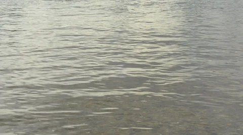 Water level with small waves 1080p Stock Footage 39729981