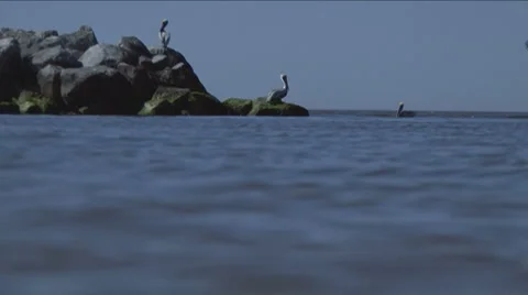Water level view Stock Footage 1089230