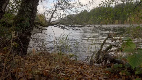 Water level view of Loch Achray, one the 3 lakes near Trossachs, Scotland Stock Footage 99936478