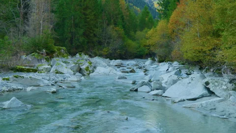 Water-Level View of Mountain River Flowing Among White Stones and Forest Stock Footage 320211684