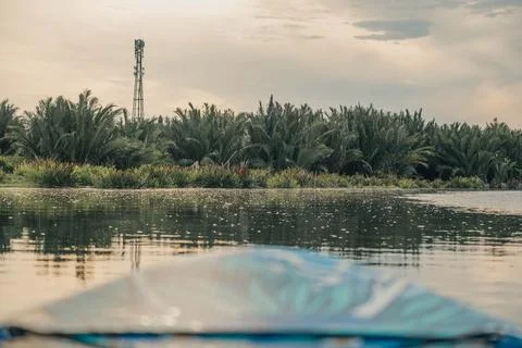 Water Level View of a Remote Tropical Riverbank with a Telecom Tower Stock Photos