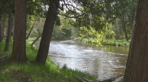 Water level view of river, lovely trees on shore Video stock 714044