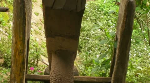 Water Lever Video stock 11239916