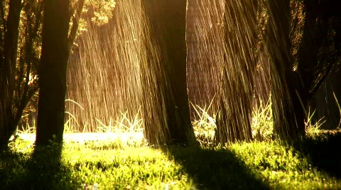 Water is life Stock Footage 505855