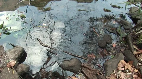 Water is life Stock Footage 2881745