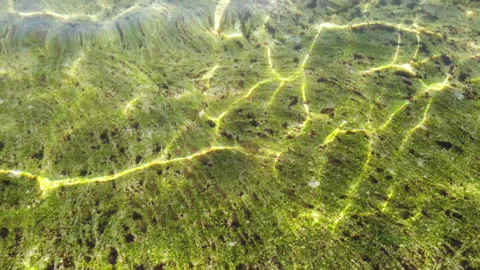 Water - light reflecting off the surface and passing through translucent liquid, Stock Footage 218600708