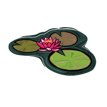Water Lilies Stock Illustration