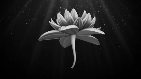 Water lily Background Loop Stock Footage 308022665