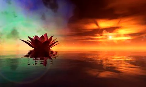 Water lily floating Stock Illustration