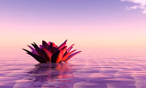 Water lily floating Stock Illustration