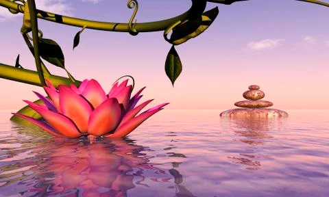 Water lily floating Stock Illustration