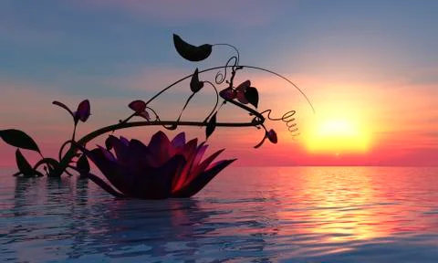 Water lily floating Stock Illustration
