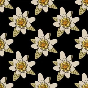Water lily flower seamless pattern. Isoalted on back background. Stock Illustration