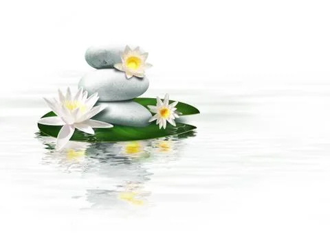 Water lily Illustrazione stock