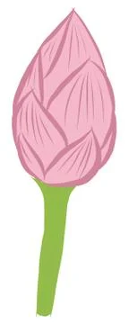 Water lily Stock Illustration