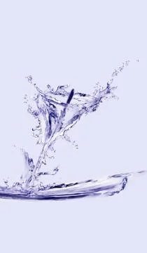 Water Lily Stock Illustration