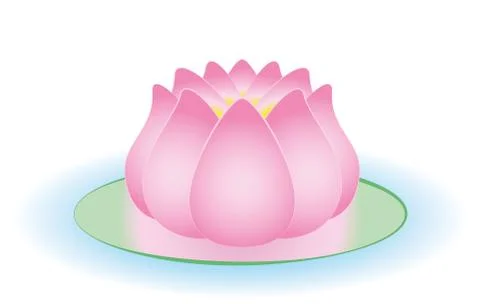 Water Lily Pink Half Opened Lotus Flower Stock Illustration
