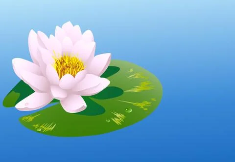 Water lily vector image Stock Illustration